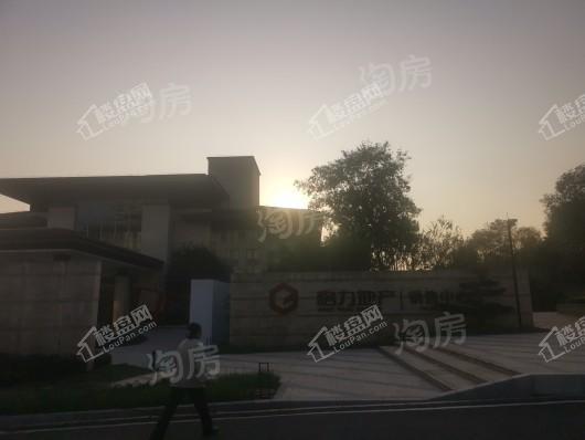 格力两江总部公园实景图
