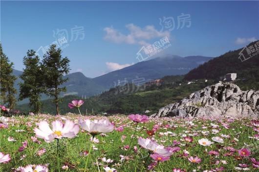 仙女山懒坝禅境艺术小镇实景图