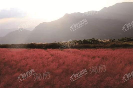 仙女山懒坝禅境艺术小镇实景图