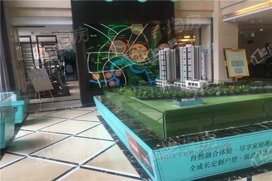 实景图