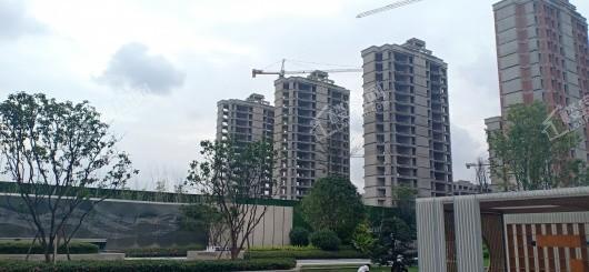 中建瑾和城实景图