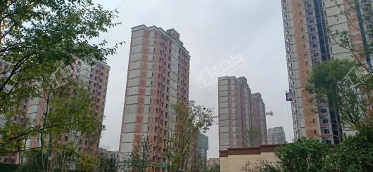 中建瑾和城实景图