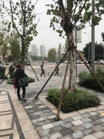 融创国博城商铺实景图