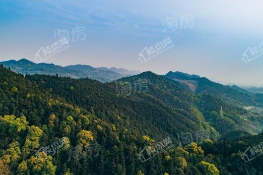 龙湖嘉天下配套图