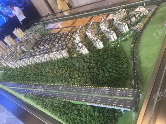 融信澜湾实景图