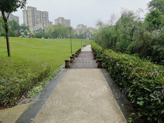 金科美的新天宸实景图