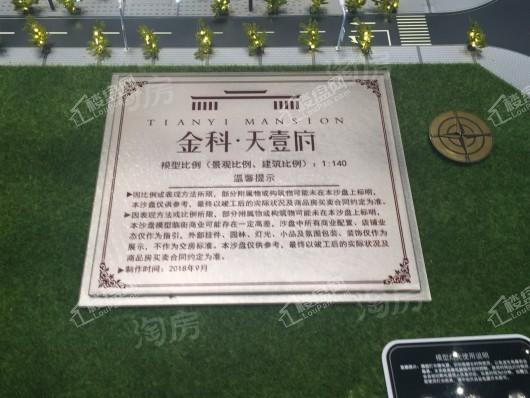 金科天壹府实景图