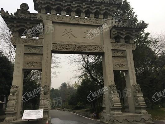 金科天壹府实景图