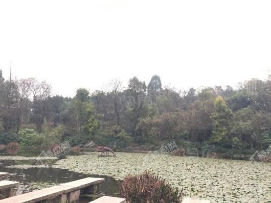 金科天壹府实景图