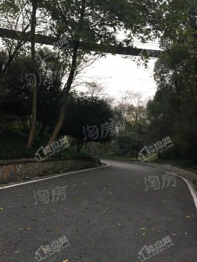 金科天壹府配套图