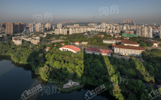 蓝光公园悦湖实景图