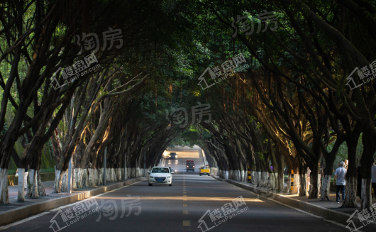 蓝光公园悦湖实景图