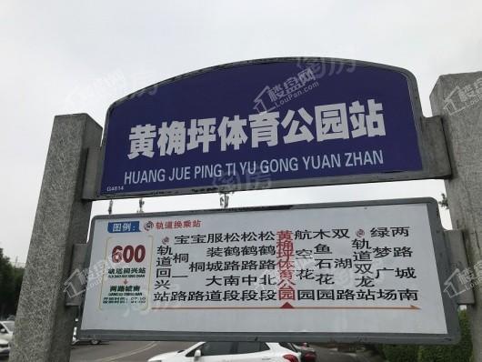 蓝光公园悦湖实景图