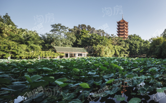 蓝光公园悦湖实景图