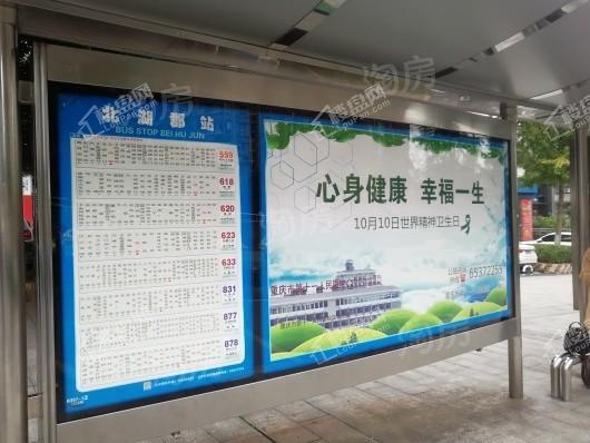 蓝光公园悦湖实景图