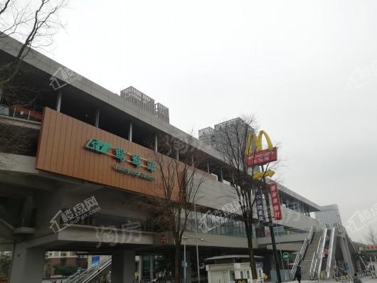 蓝光公园悦湖实景图