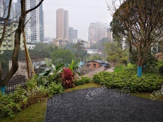 合景泰富誉峰实景图