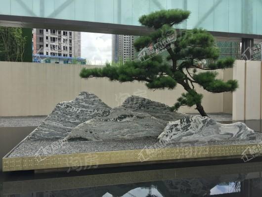 合景泰富誉峰实景图