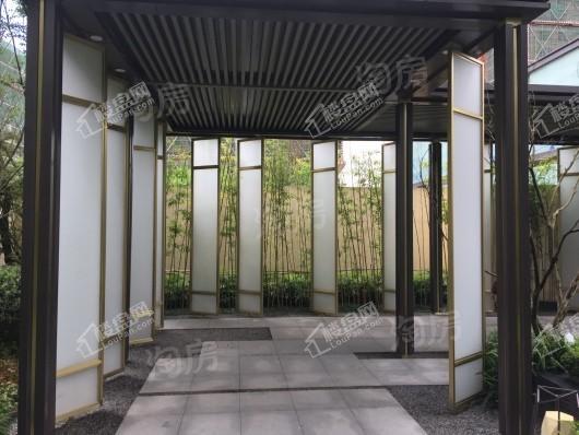 合景泰富誉峰实景图