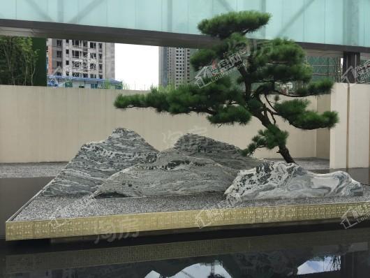 合景泰富誉峰实景图