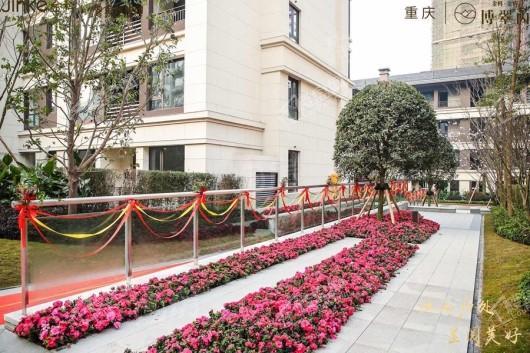 金科博翠山麓实景图