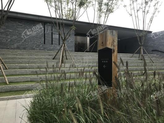 万科森林公园实景图