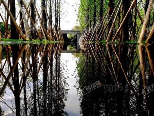 万科森林公园实景图