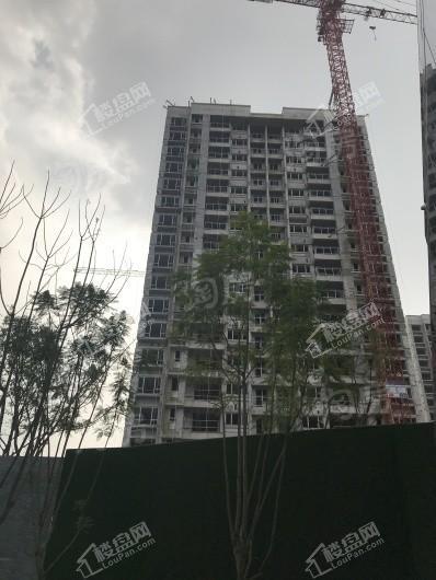 万科森林公园实景图