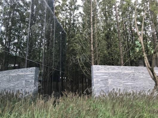 万科森林公园实景图