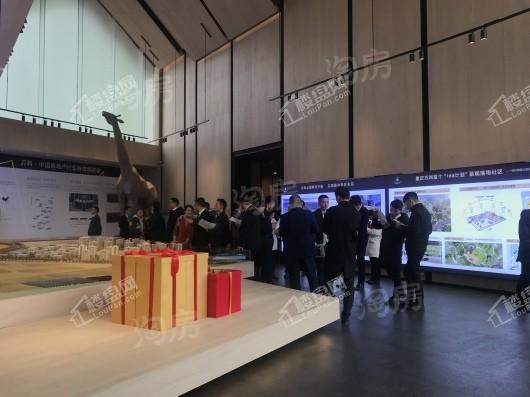 万科森林公园实景图