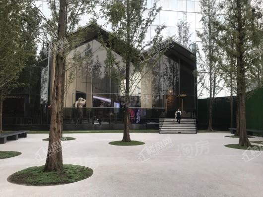 万科森林公园实景图