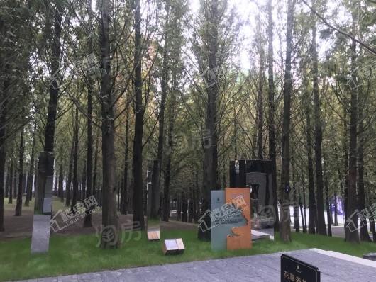 万科森林公园实景图