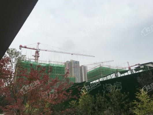 万科森林公园实景图