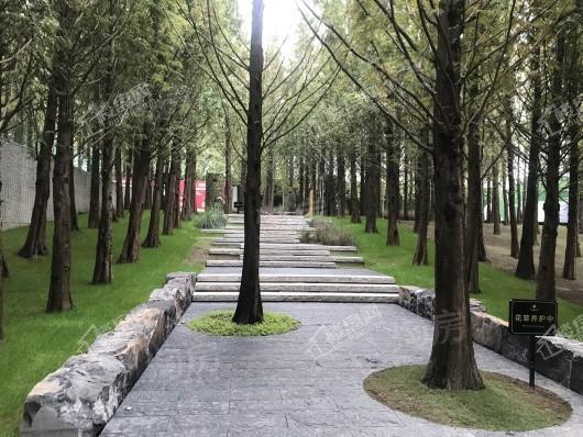 万科森林公园实景图