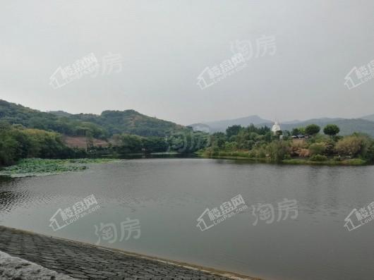 国盛天鹅墅配套图