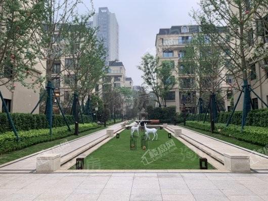 国盛天鹅墅实景图