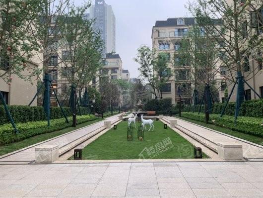 国盛天鹅墅实景图