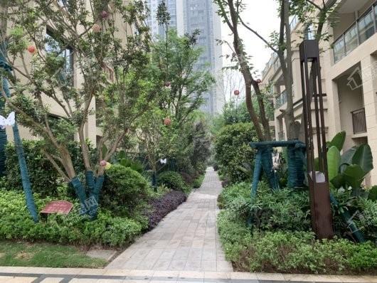国盛天鹅墅实景图