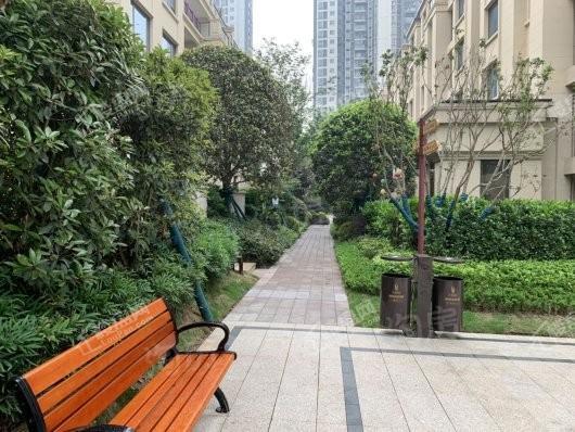 国盛天鹅墅实景图