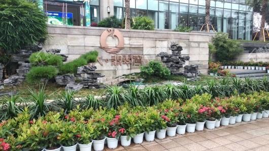恒大翡翠湾实景图