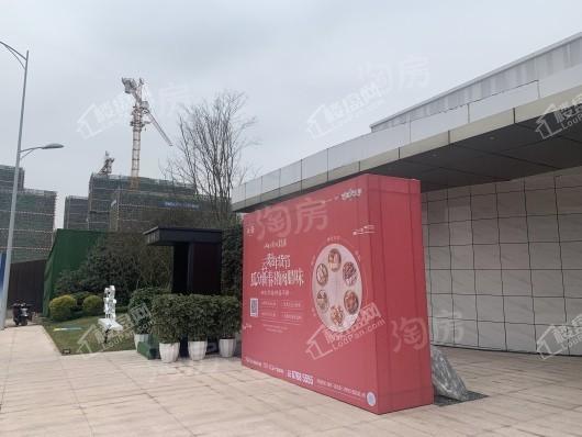 美的中骏云璟实景图