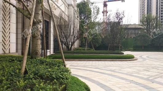 恒大林溪郡实景图