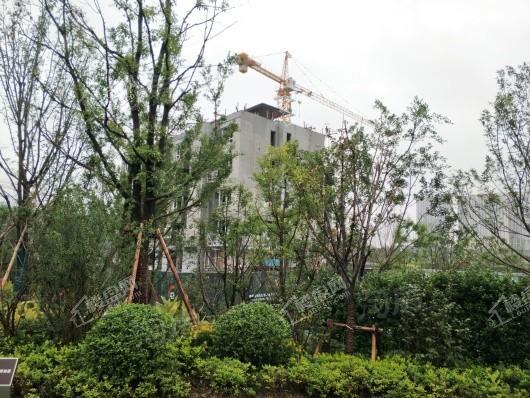 保亿御景玖园实景图