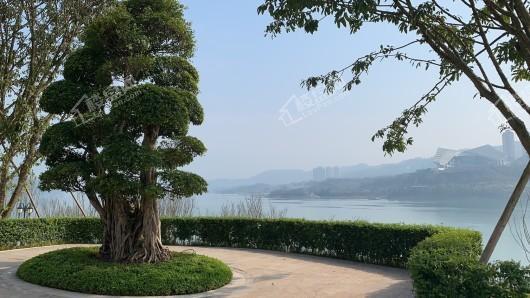忠县恒大悦珑湾实景图