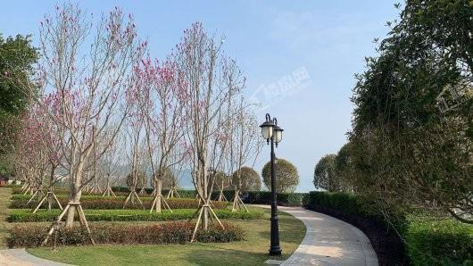 忠县恒大悦珑湾实景图