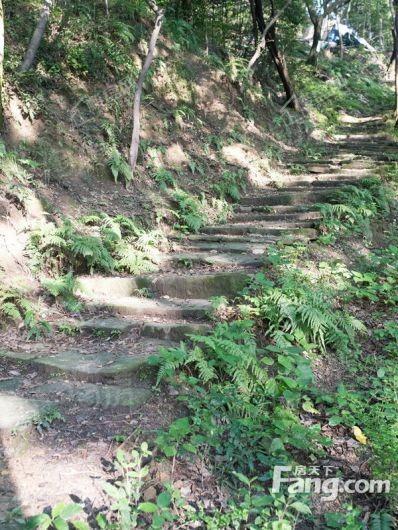 君临南山崇德府配套图