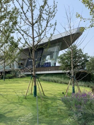 龙湖春江天镜实景图