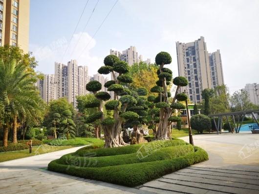 恒大未来城实景图