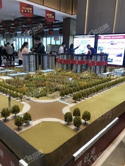 万科四季花城实景图