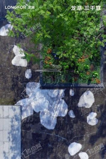 龙湖三千庭实景图